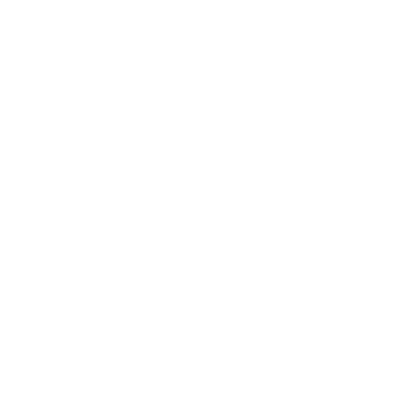 LogoYincany